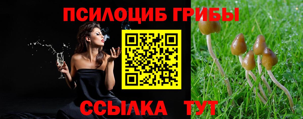 Псилоцибиновые грибы MAGIC MUSHROOMS  Вход с VPN  Лесосибирск  Псилоцибиновые грибы мухоморы 